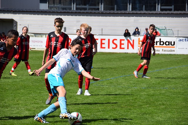 杨明洋本次 杨明洋本次