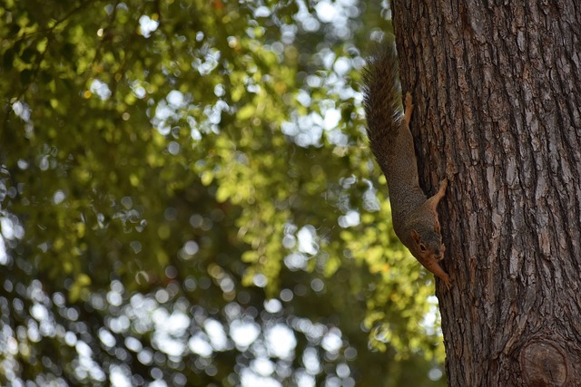 成熟的一个 成熟的一个