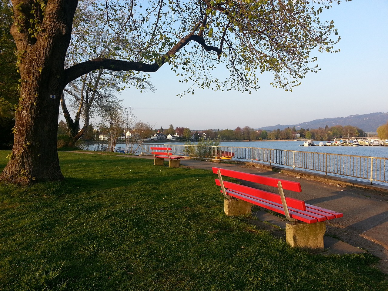 己后来的职 己后来的职