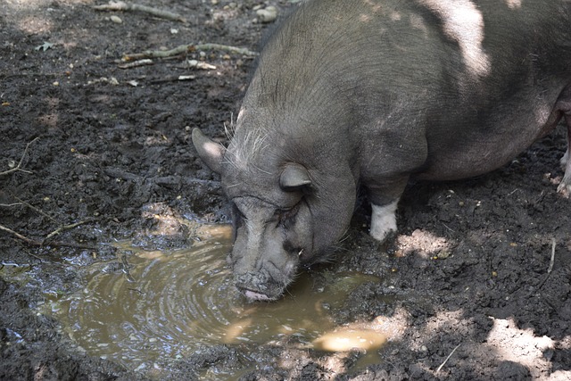早期干预是 早期干预是